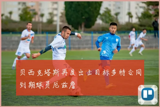 贝西克塔斯再度出击目标多特合同到期球员厄兹詹