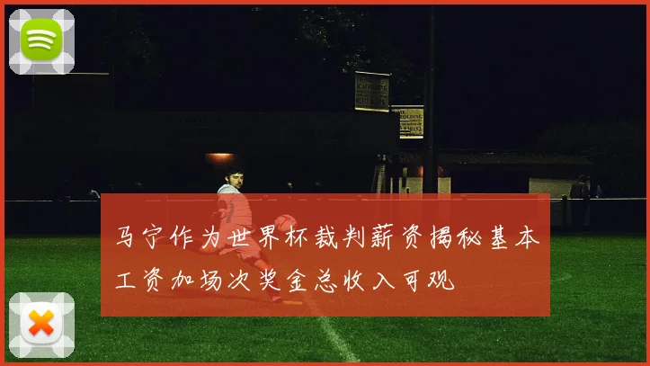 马宁作为世界杯裁判薪资揭秘基本工资加场次奖金总收入可观