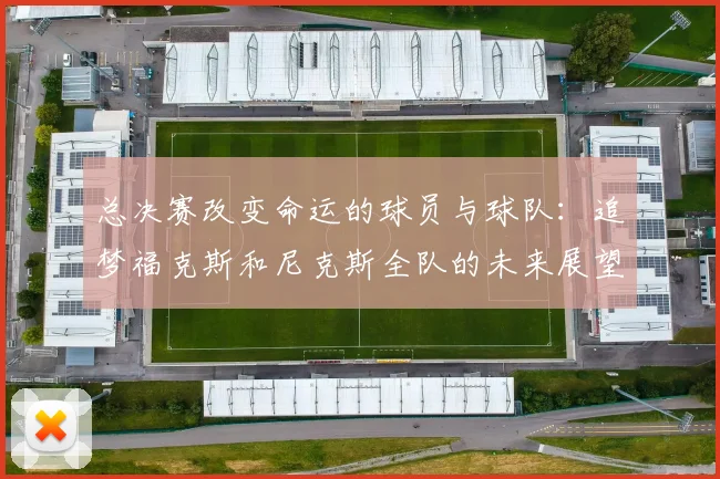 总决赛改变命运的球员与球队：追梦福克斯和尼克斯全队的未来展望