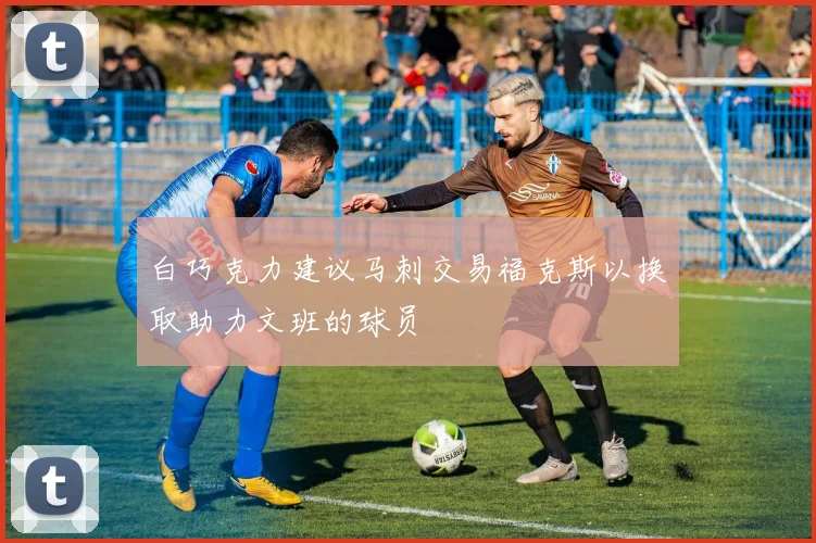 白巧克力建议马刺交易福克斯以换取助力文班的球员