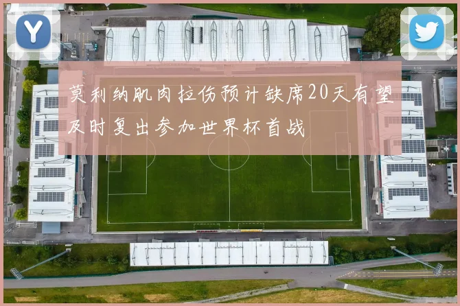 莫利纳肌肉拉伤预计缺席20天有望及时复出参加世界杯首战